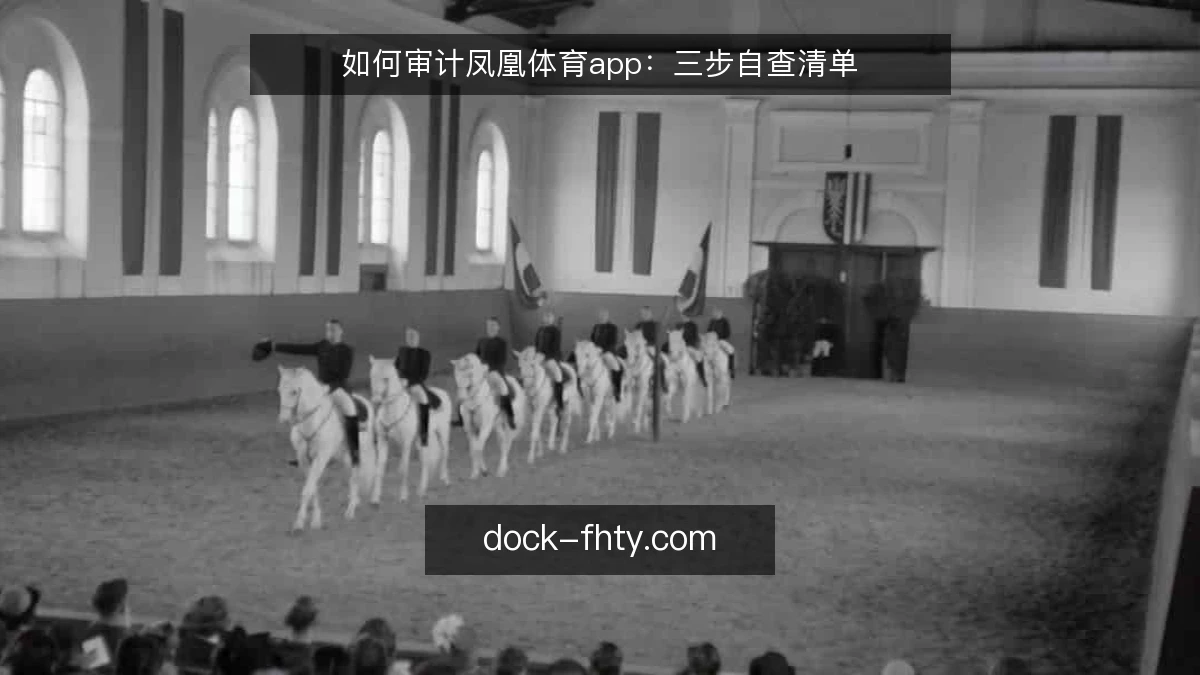 如何审计凤凰体育app:三步自查清单