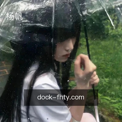 杨帆